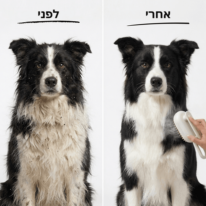 ElvoraVision | מברשת הקיטור החכמה למניעת נשירה וטיפוח הפרווה