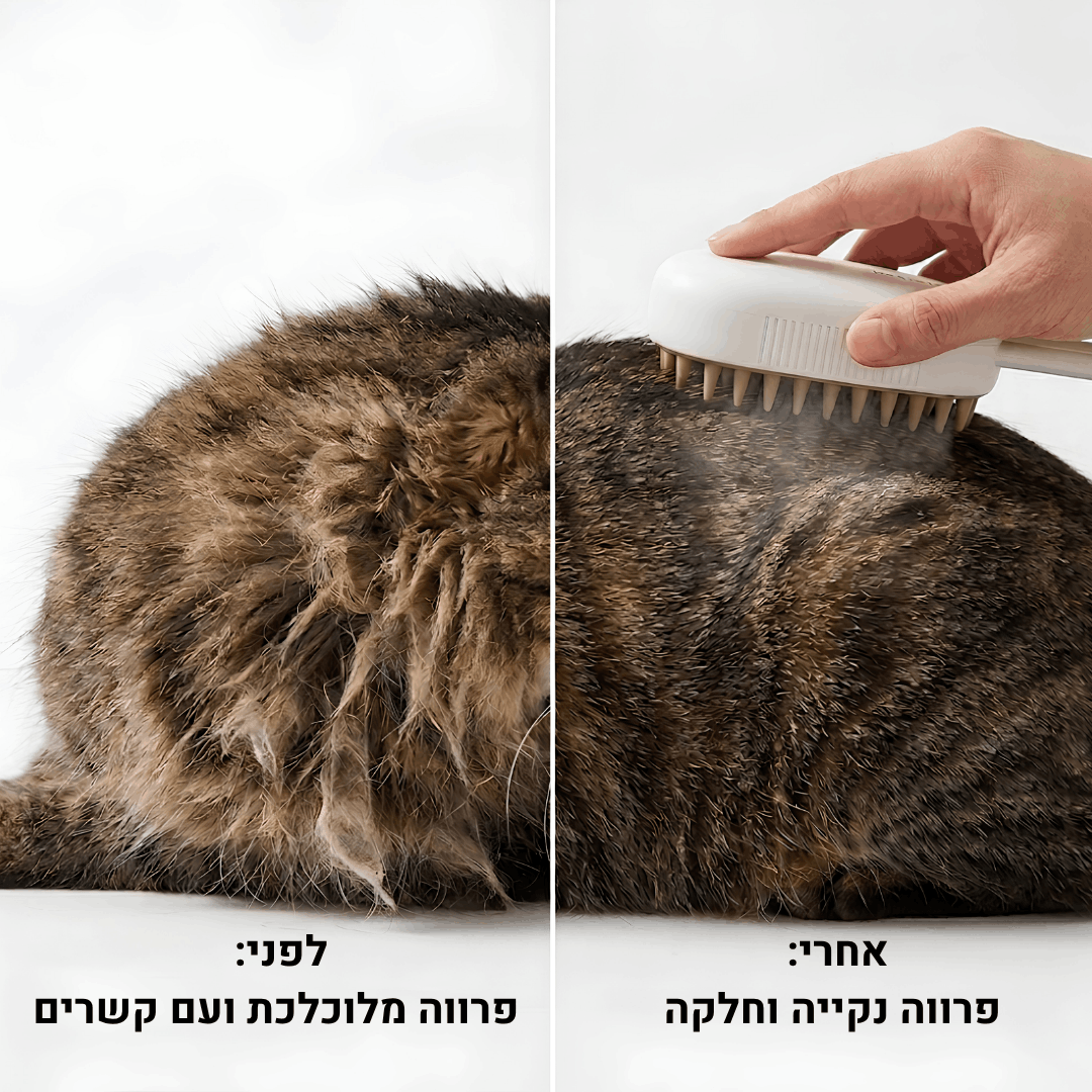 ElvoraVision | מברשת הקיטור החכמה למניעת נשירה וטיפוח הפרווה