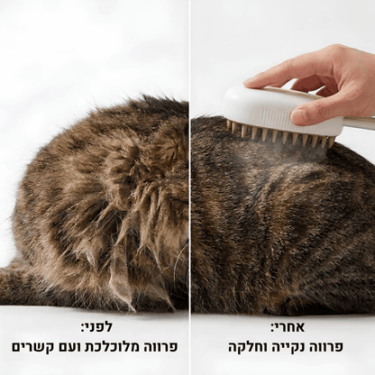 ElvoraVision | מברשת הקיטור החכמה למניעת נשירה וטיפוח הפרווה