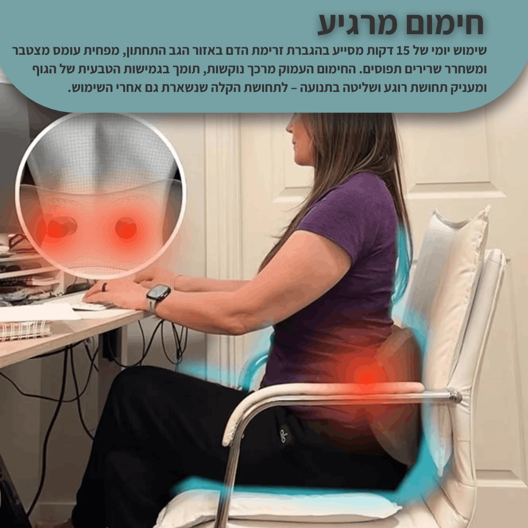 כרית העיסוי ElvoraVision